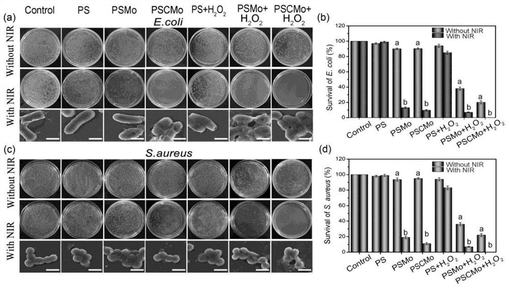 Preparation method of hydrogel based on carbon nanotube composite molybdenum disulfide nanosheets