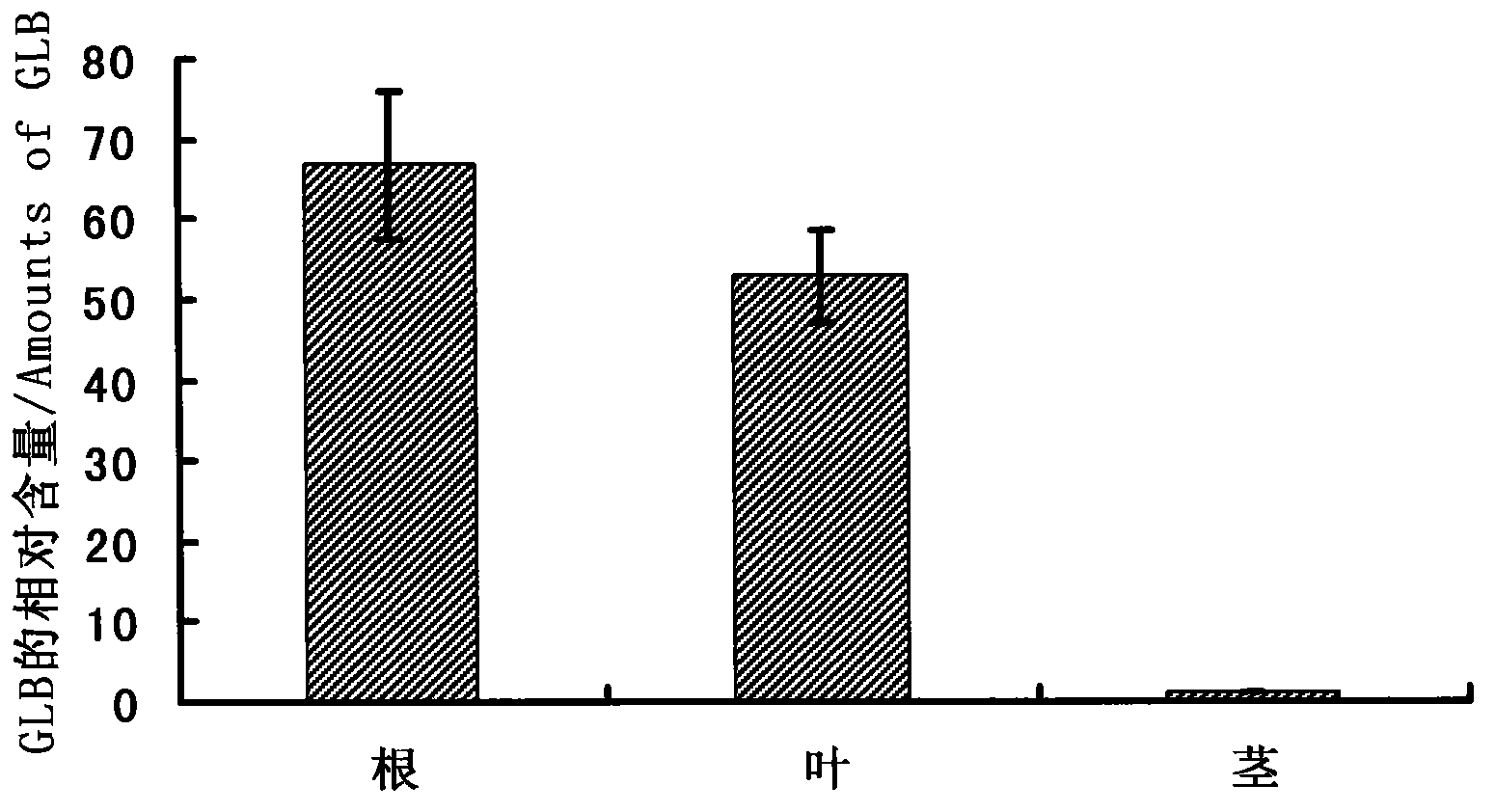 Nonsymbiotic hemoglobin gene AhGLB for waterlogging resistance of peanut and its application