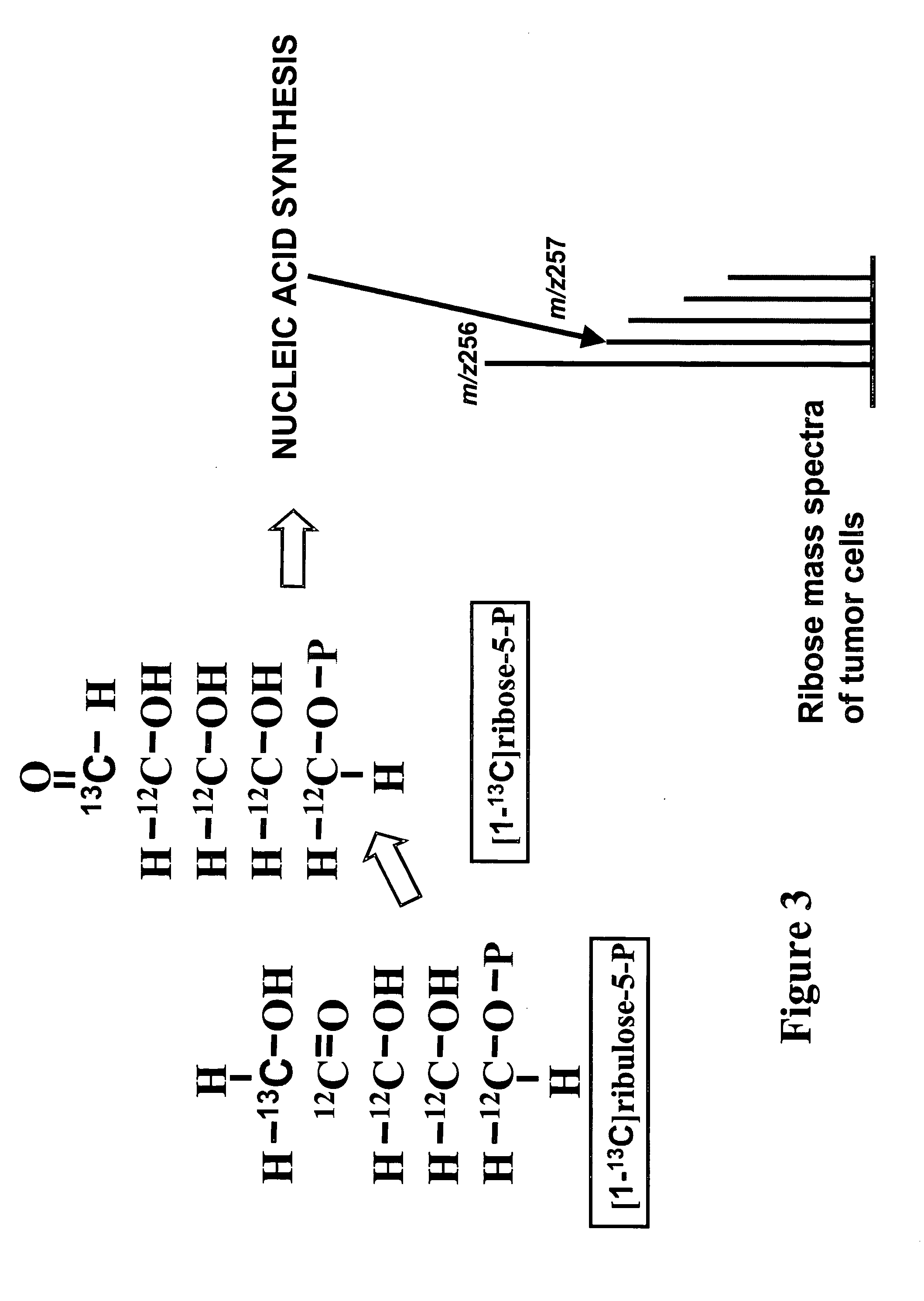 Methods and compositions for determining targeted drug sensitivity and resistance in a cancer subject