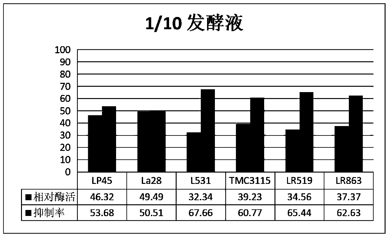 Preparation method and application of lactic acid bacteria capable of inhibiting tyrosinase activity