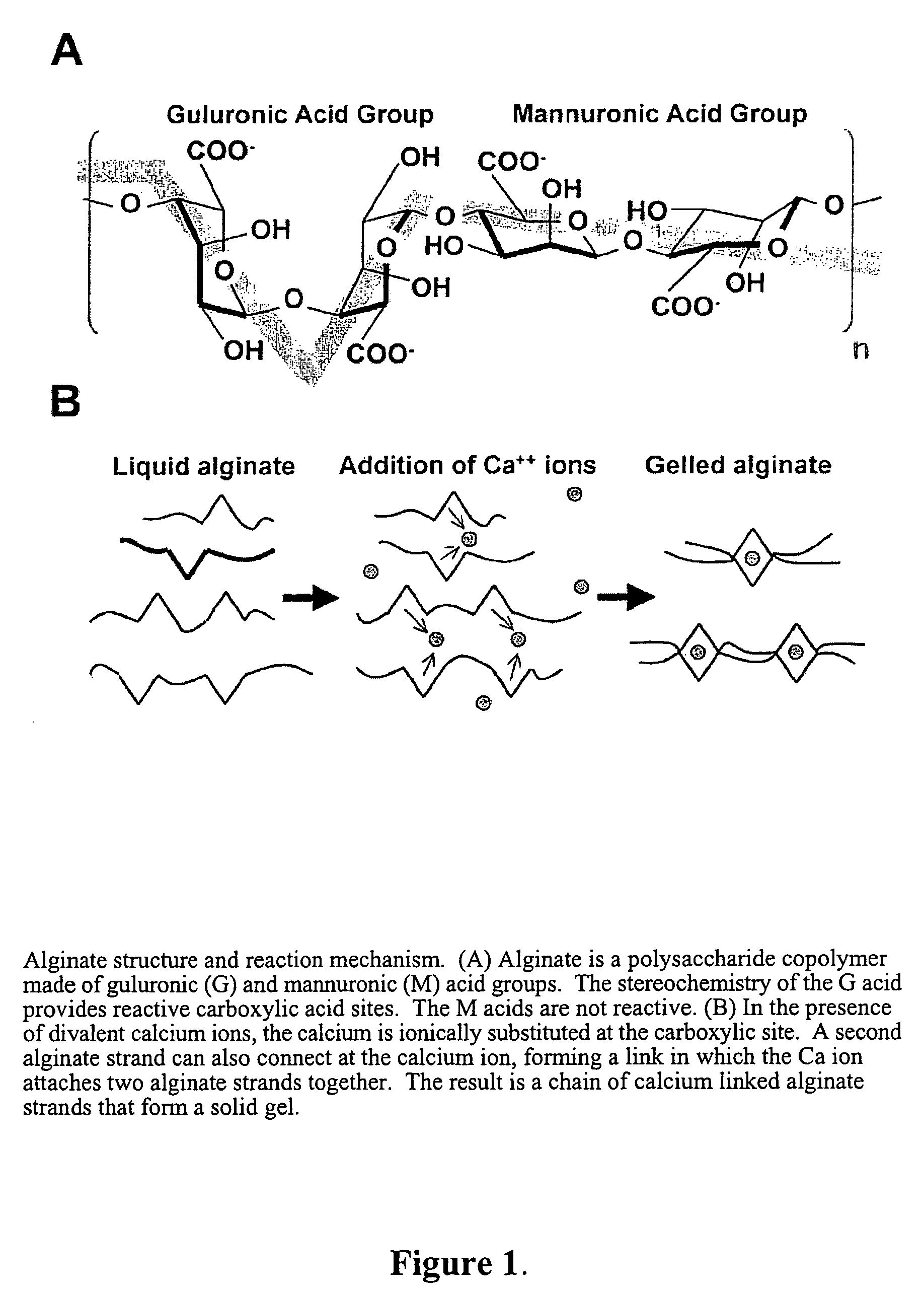 Compositions and methods for improved occlusion of vascular defects