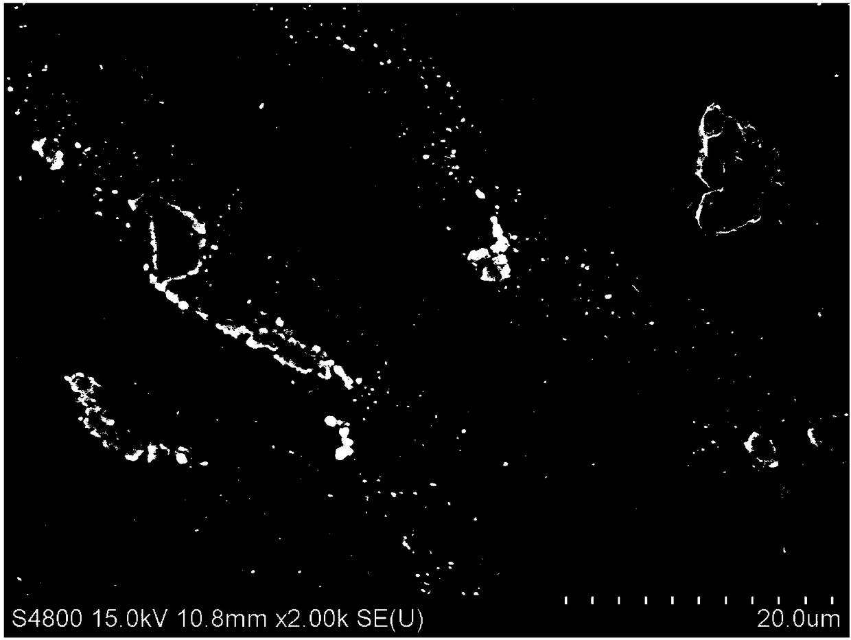 A kind of preparation method of biomedical magnesium alloy wire