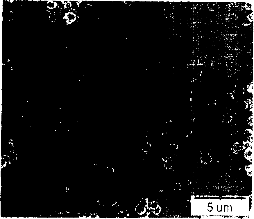 Method for preparing equal dispersion ferric phosphate lithium nano crystal by hydrothermal synthetis method