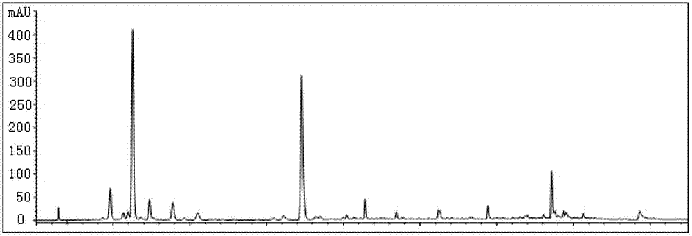 Establishment method for polygonum perfoliatum medicinal material finger print, and standard finger print thereof