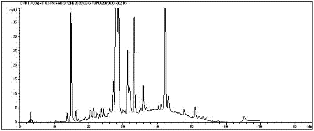 Establishment method for polygonum perfoliatum medicinal material finger print, and standard finger print thereof