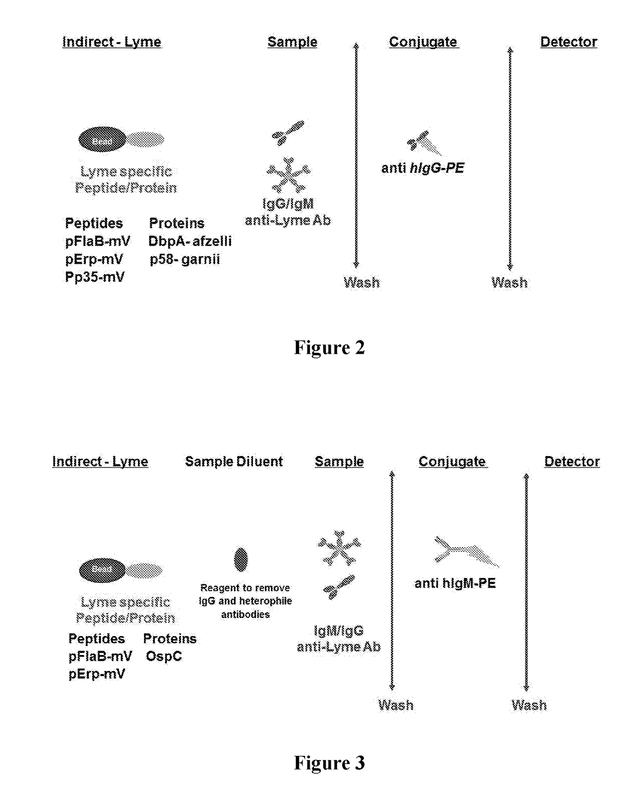 Borrelia immunoassays and materials therefor