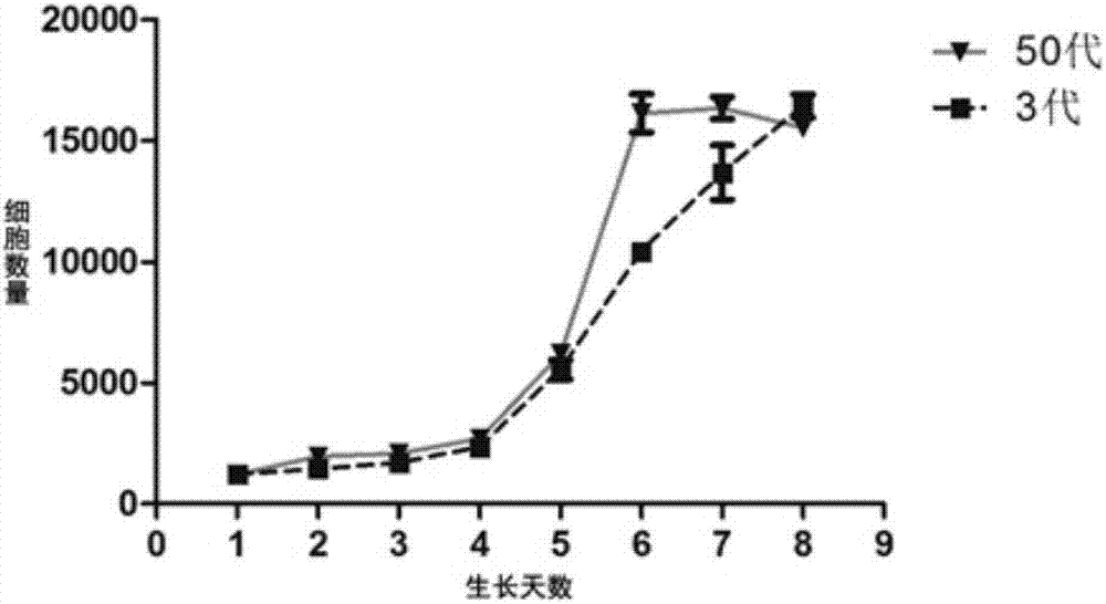 Immortalized rabbit small intestine epithelium cell line and construction method thereof