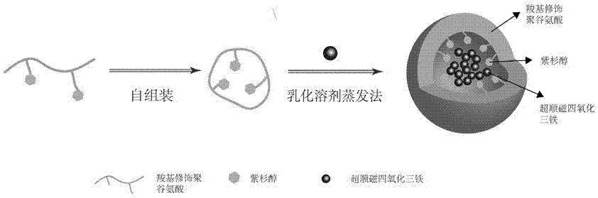 Multifunctional polymer nanoparticle, as well as preparation method and application thereof