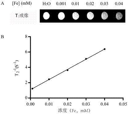 Multifunctional polymer nanoparticle, as well as preparation method and application thereof