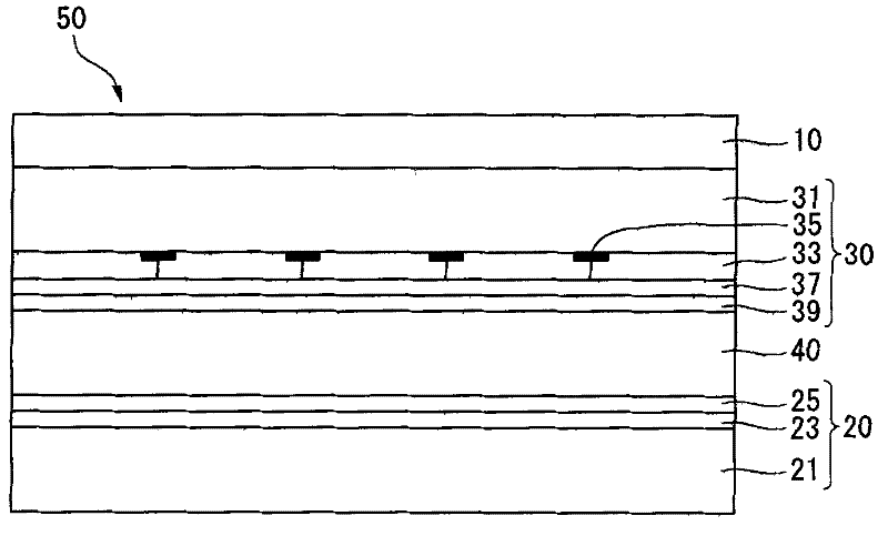 Display device having touch screen panel