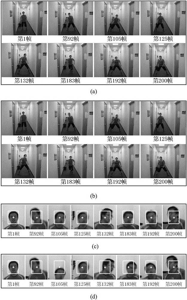 Optimized particle-based particle filter target tracking method