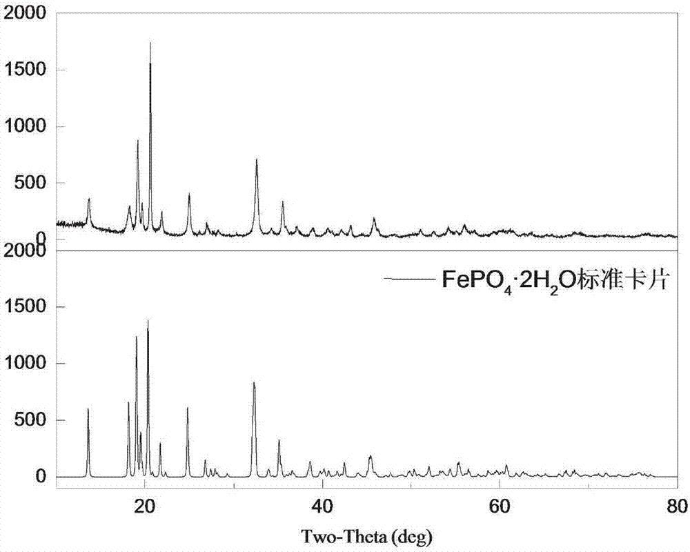 Method for normal-pressure phosphoric-acid leaching of nickel-cobalt and synchronous preparation of iron phosphate