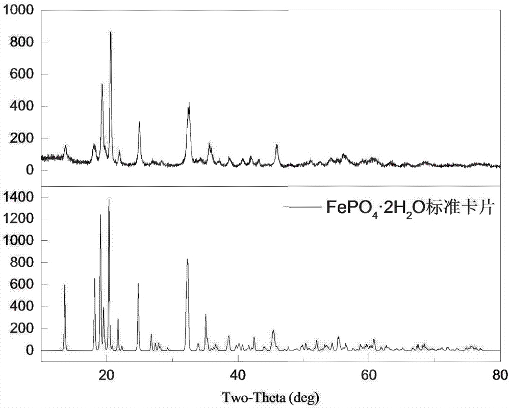 Method for normal-pressure phosphoric-acid leaching of nickel-cobalt and synchronous preparation of iron phosphate