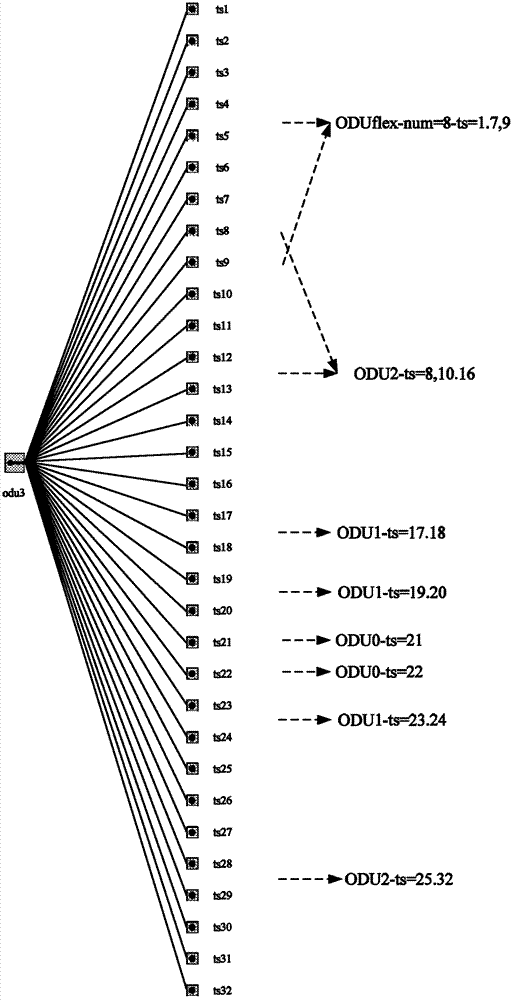 ODU (optical data unit) management method and device