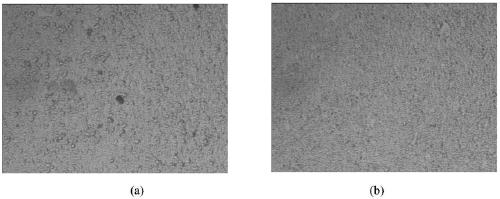 Preparation Technology of Composite Nitride Coating on Tool and Die Surface