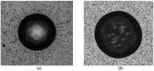 Preparation Technology of Composite Nitride Coating on Tool and Die Surface