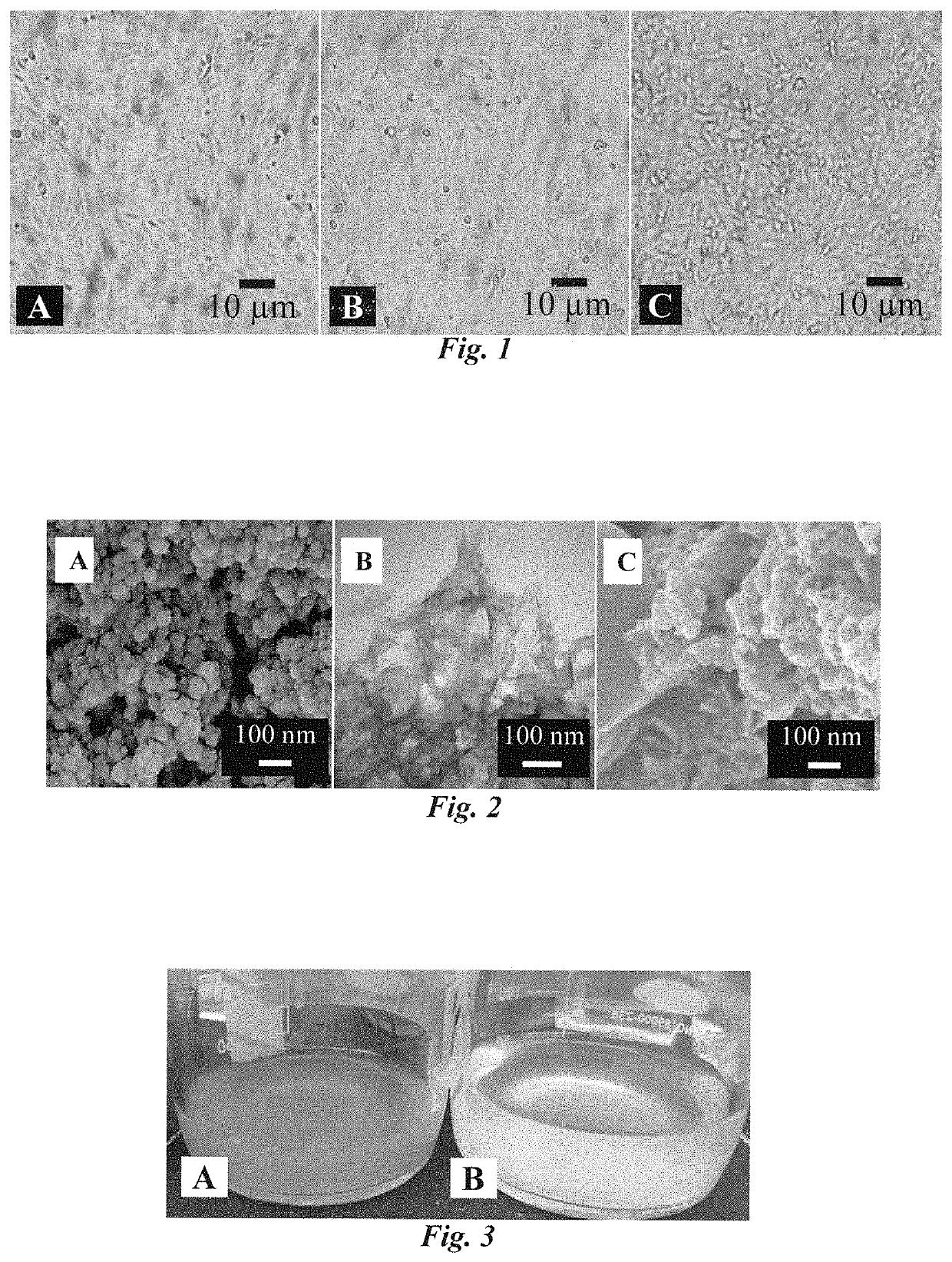 Antiviral composition and applications of iron-doped apatite nanoparticles