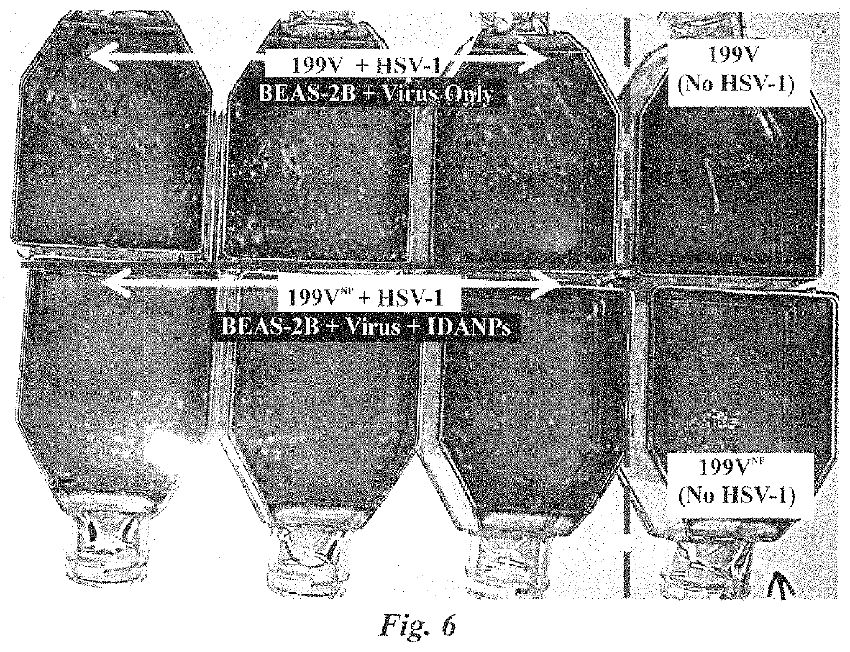 Antiviral composition and applications of iron-doped apatite nanoparticles