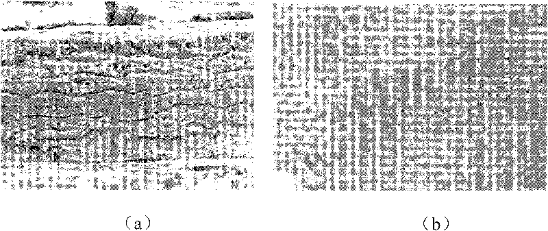 Light anode and flexile solar battery thereof