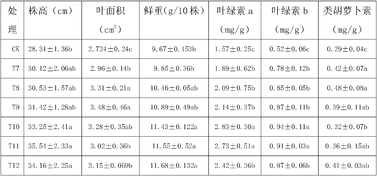 Application of mixed preparation of 5-aminolevulinic acid and forchlorfenuron to Leymus chinensis Tzvel planting