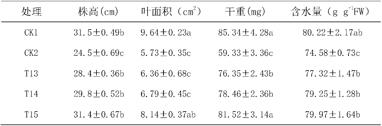 Application of mixed preparation of 5-aminolevulinic acid and forchlorfenuron to Leymus chinensis Tzvel planting