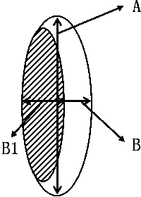 Double-component composite elastic fiber