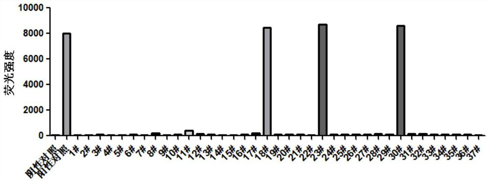 Polypeptide preparations