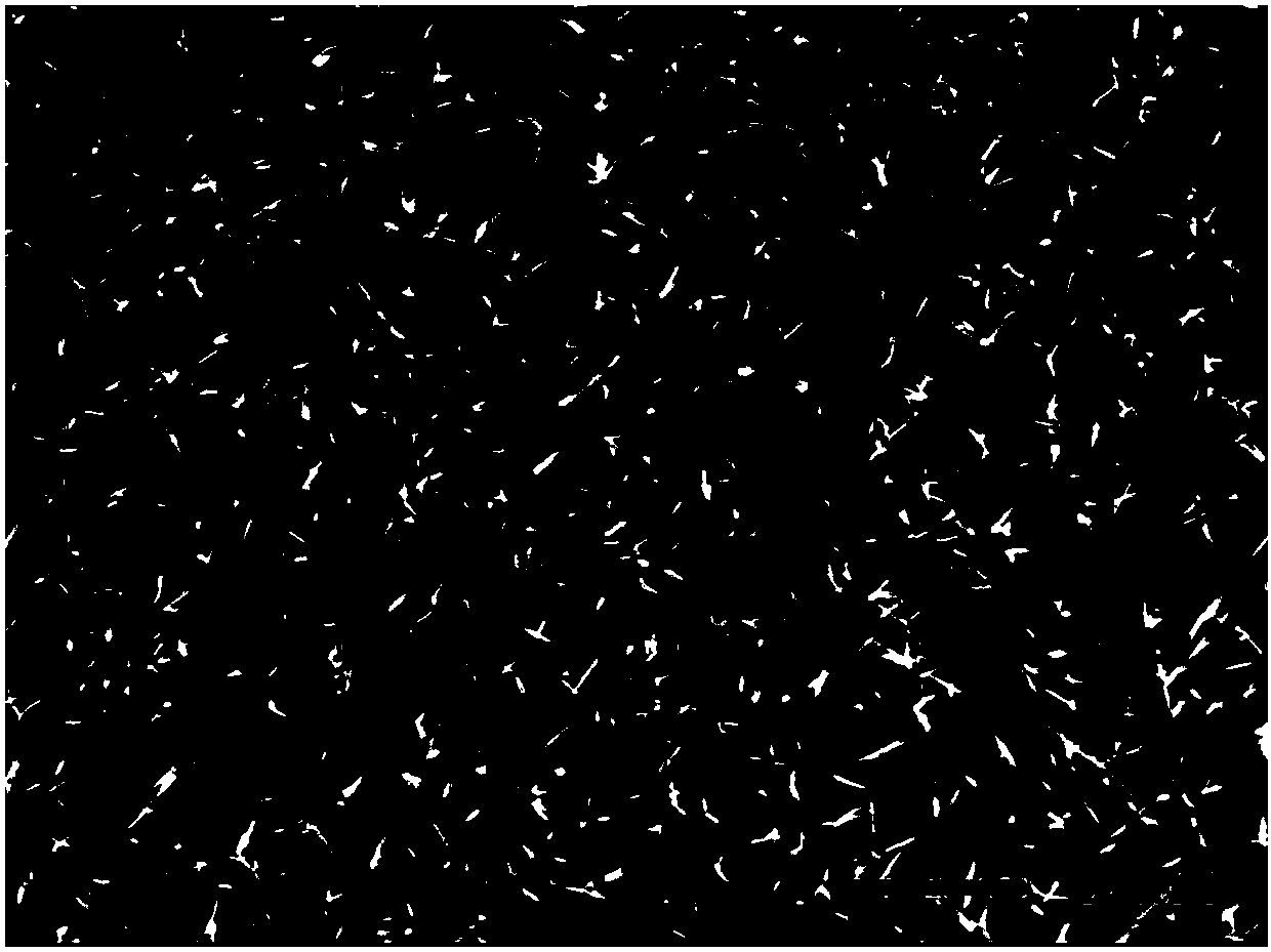 Preparation method and application of membrane electrode based on platinum or platinum alloy nanotube