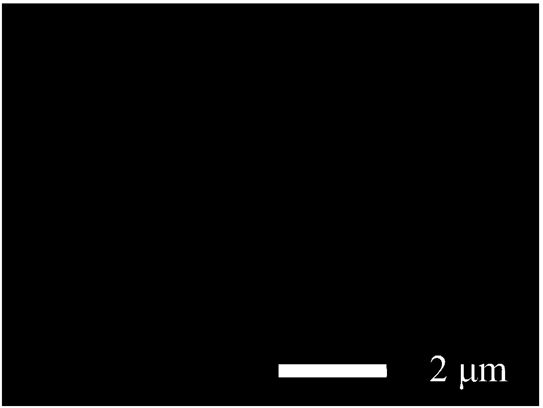 Preparation method and application of membrane electrode based on platinum or platinum alloy nanotube