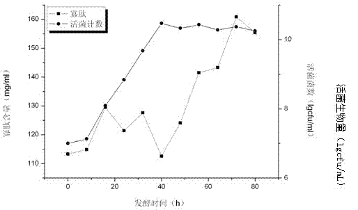 Preparation method of spirulina extract