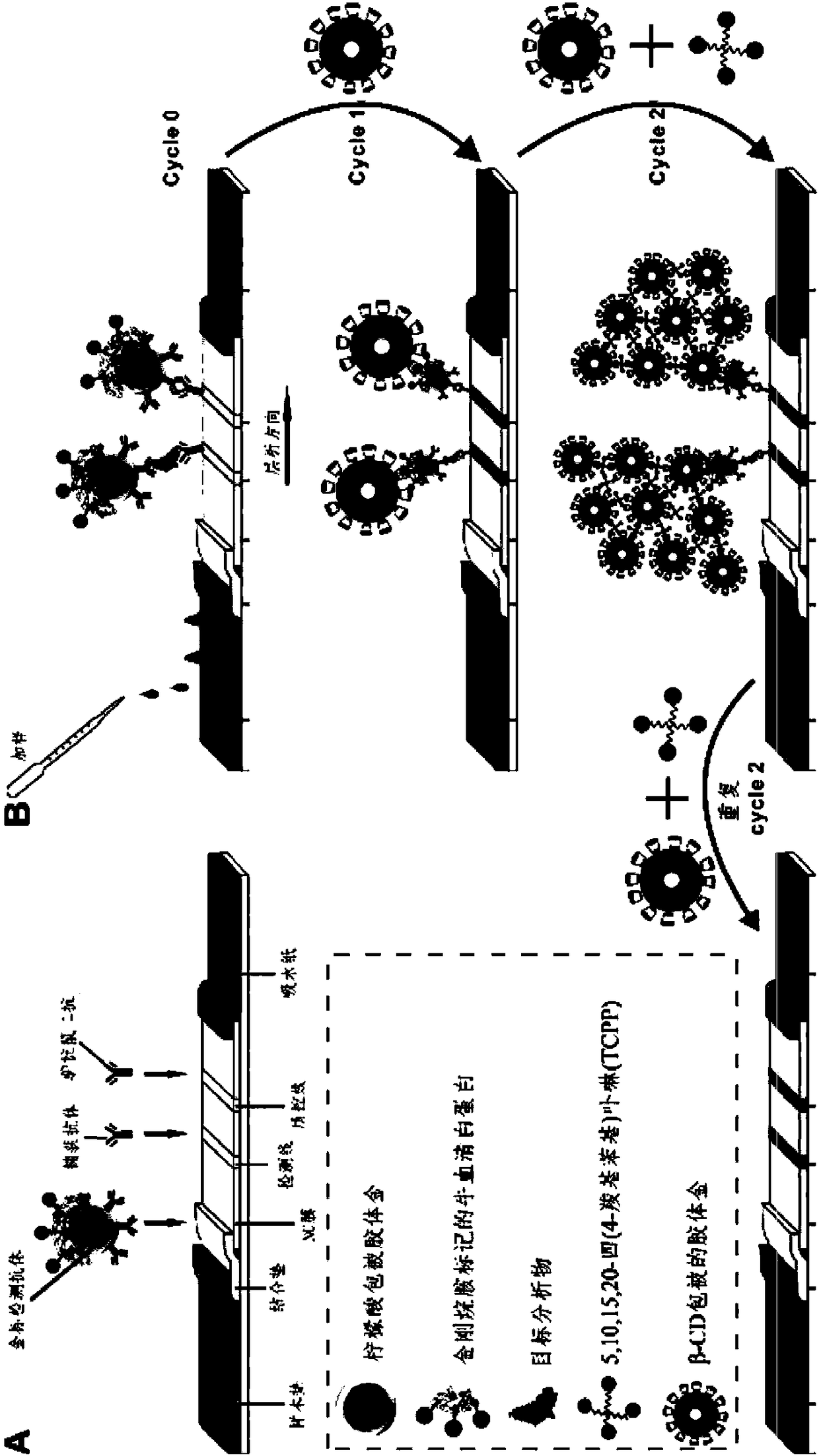 New method for sensitivity of supermolecular self-assembling mediated net-shaped nano-gold enhanced immunochromatographic test strip