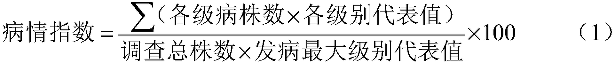 Pseudomonas migulae and application thereof in control of luffa root-knot nematode