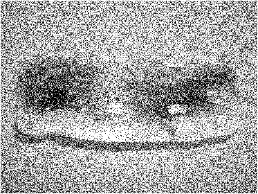 Forest litter sampling and profile structure image acquisition method