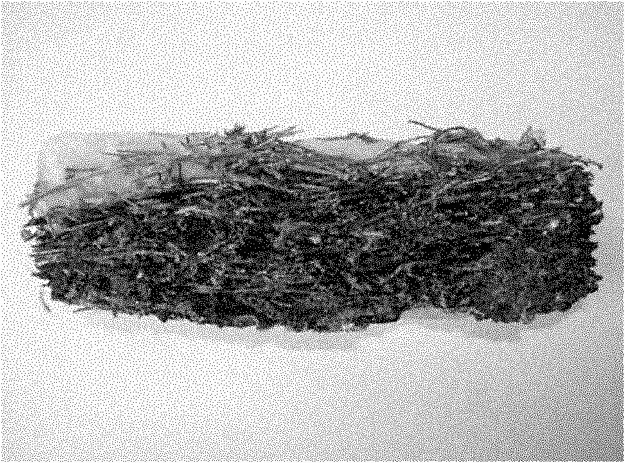 Forest litter sampling and profile structure image acquisition method