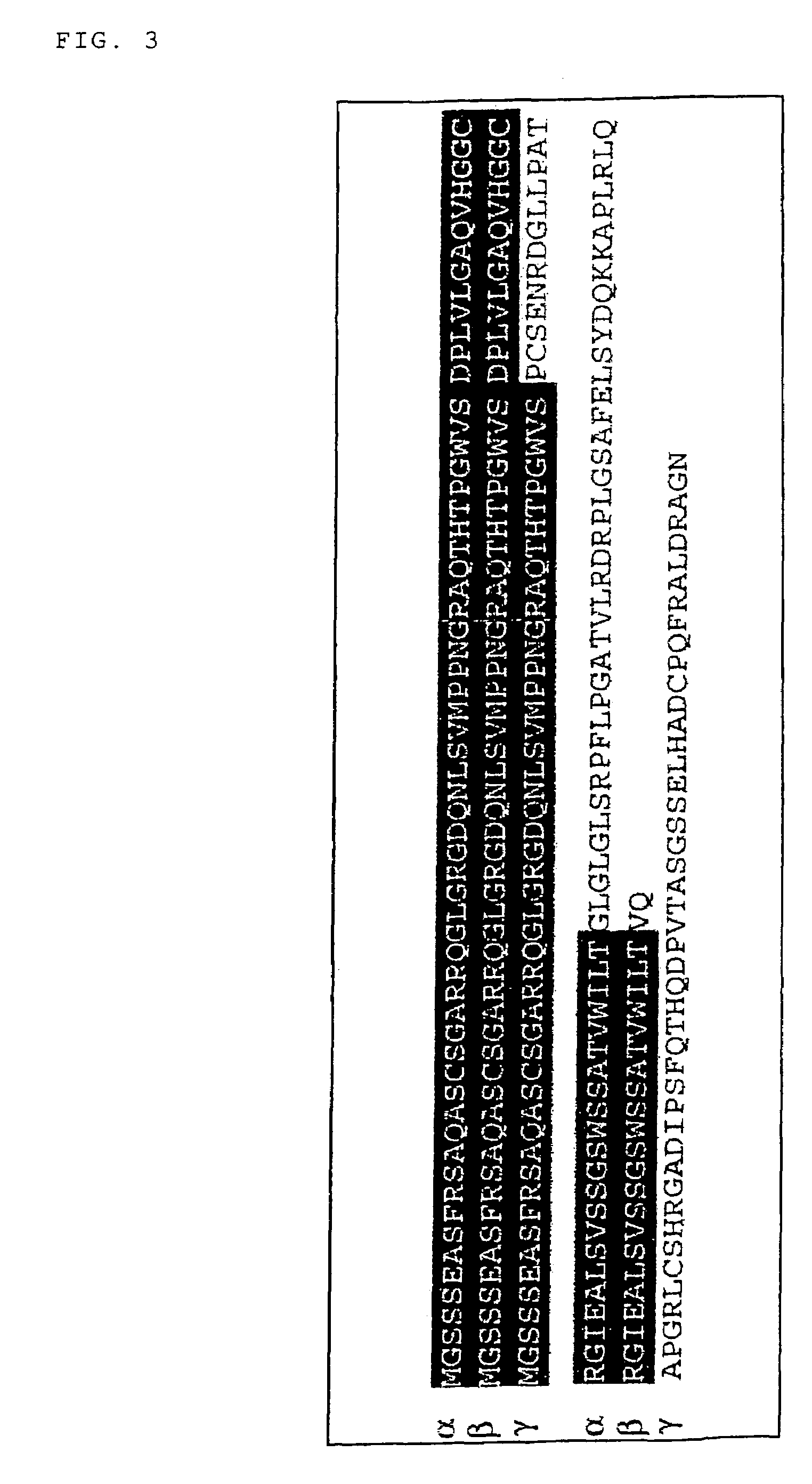 P53 dependent apoptosis-associated gene and protein