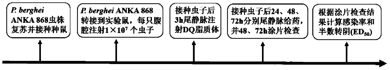 Decoquinate liposome and preparation method and application thereof