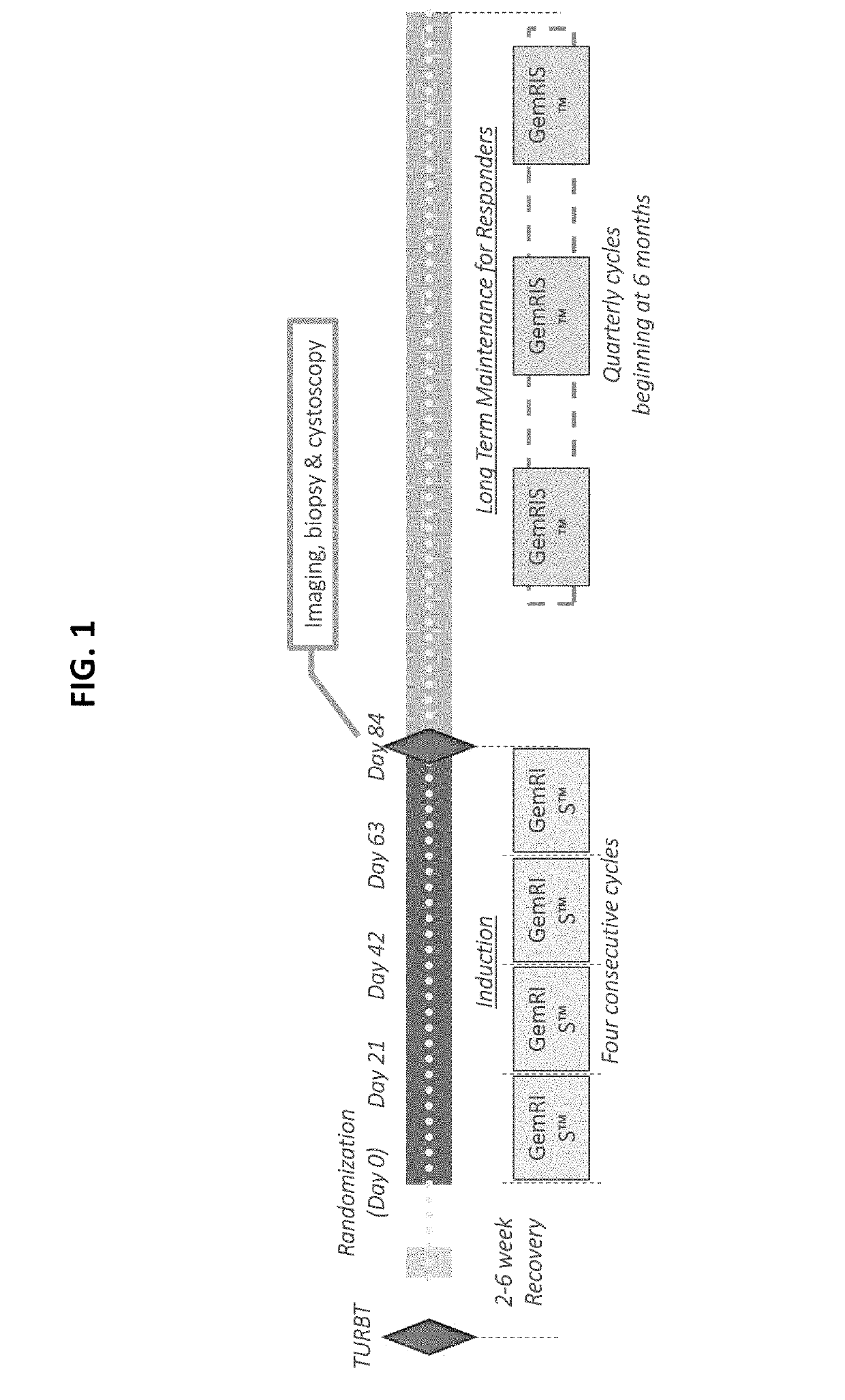 Methods of treatment and maintenance therapy for bladder cancer using gemcitbine