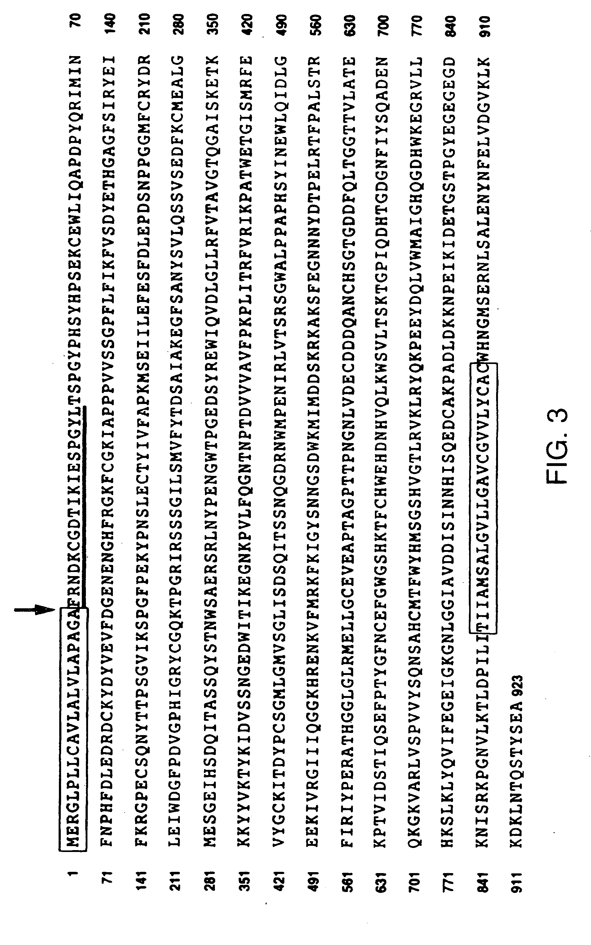 Antagonists of neuroplin receptor function and use thereof