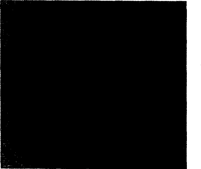 Method for preparing glass optical fiber prefabricated stick