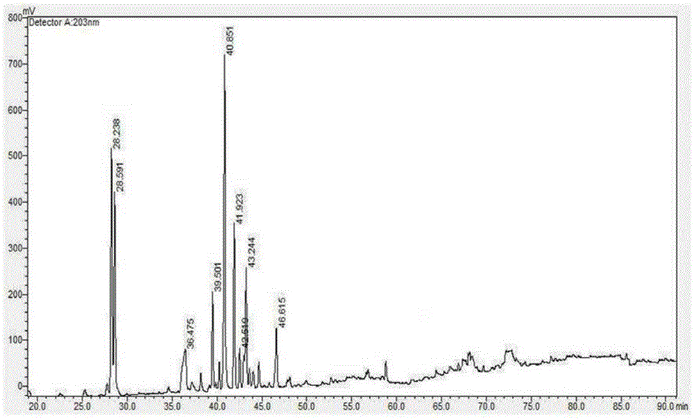 Manufacturing method of fermented ginseng or fermented black-red ginseng extract containing active ginsenoside with improved absorption rate