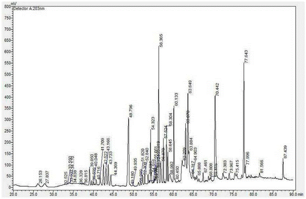 Manufacturing method of fermented ginseng or fermented black-red ginseng extract containing active ginsenoside with improved absorption rate