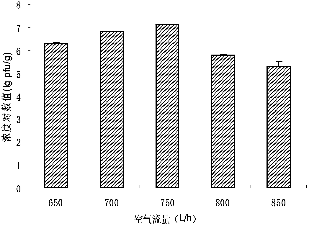 Bdellovibrio bacteriovorus microcapsule and preparation method thereof