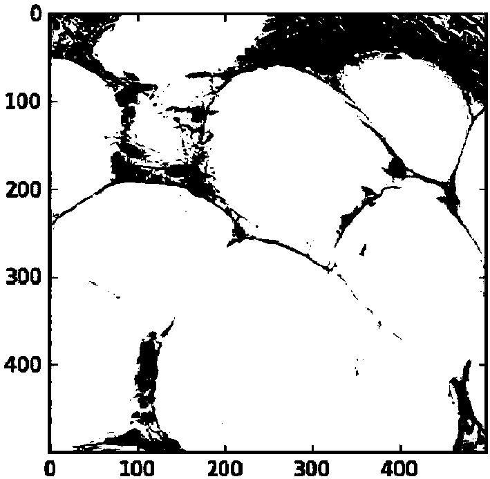 Cell locating method and cell dividing method