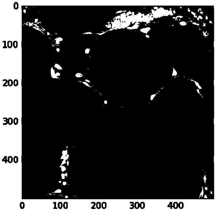 Cell locating method and cell dividing method