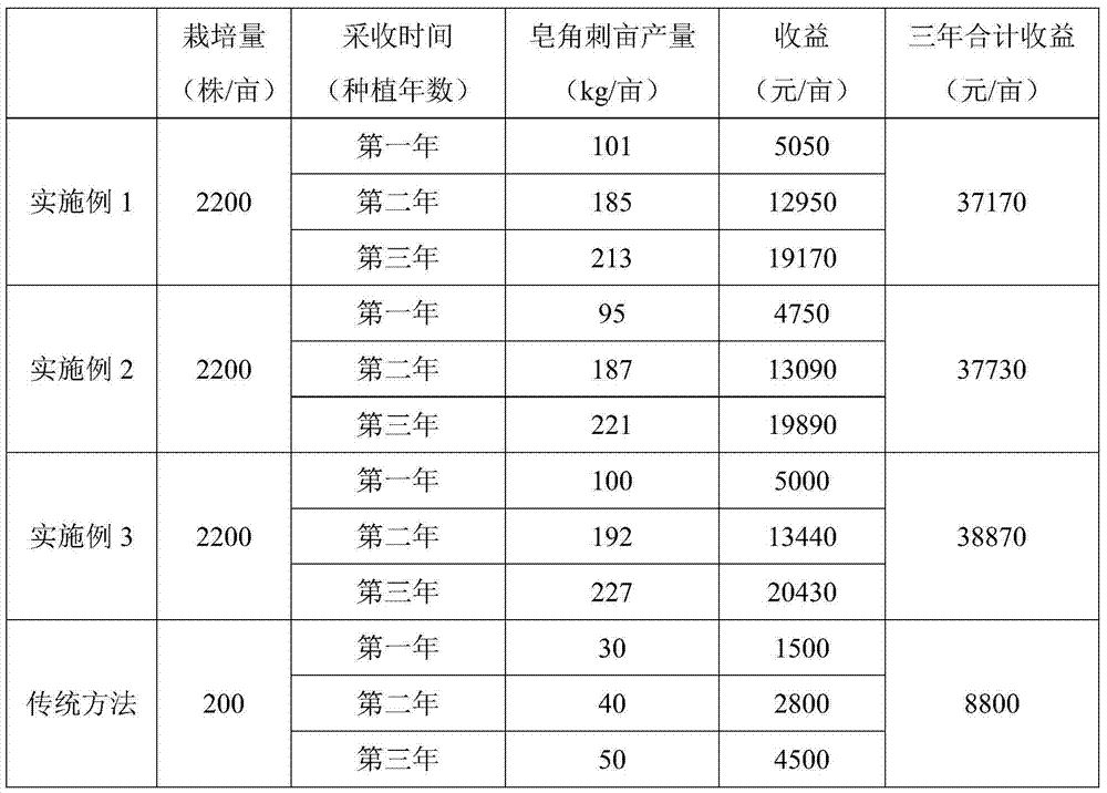 Cultivation method of grassland type officinal honey locust tree