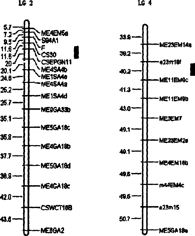 Cucumber powdery mildew resistance main effect QTL compact linkage molecule labeling method and applying method