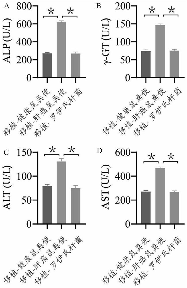 Application of lactobacillus reuteri and metabolite thereof in preparation of medicine for treating liver cancer