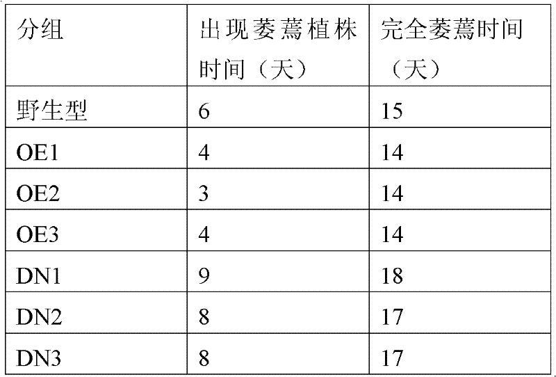 Method for improving plant drought hardiness