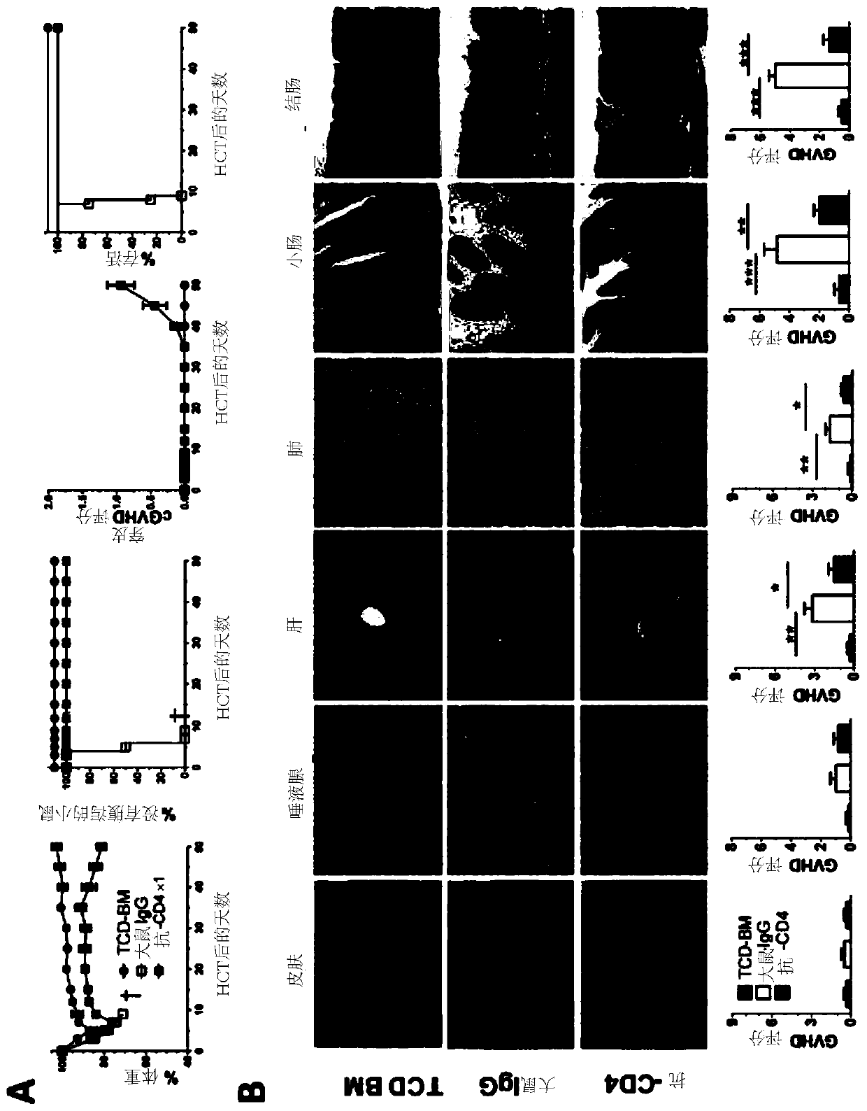 Methods for in vivo expansion of cd8+ t cells and prevention or treatment of gvhd