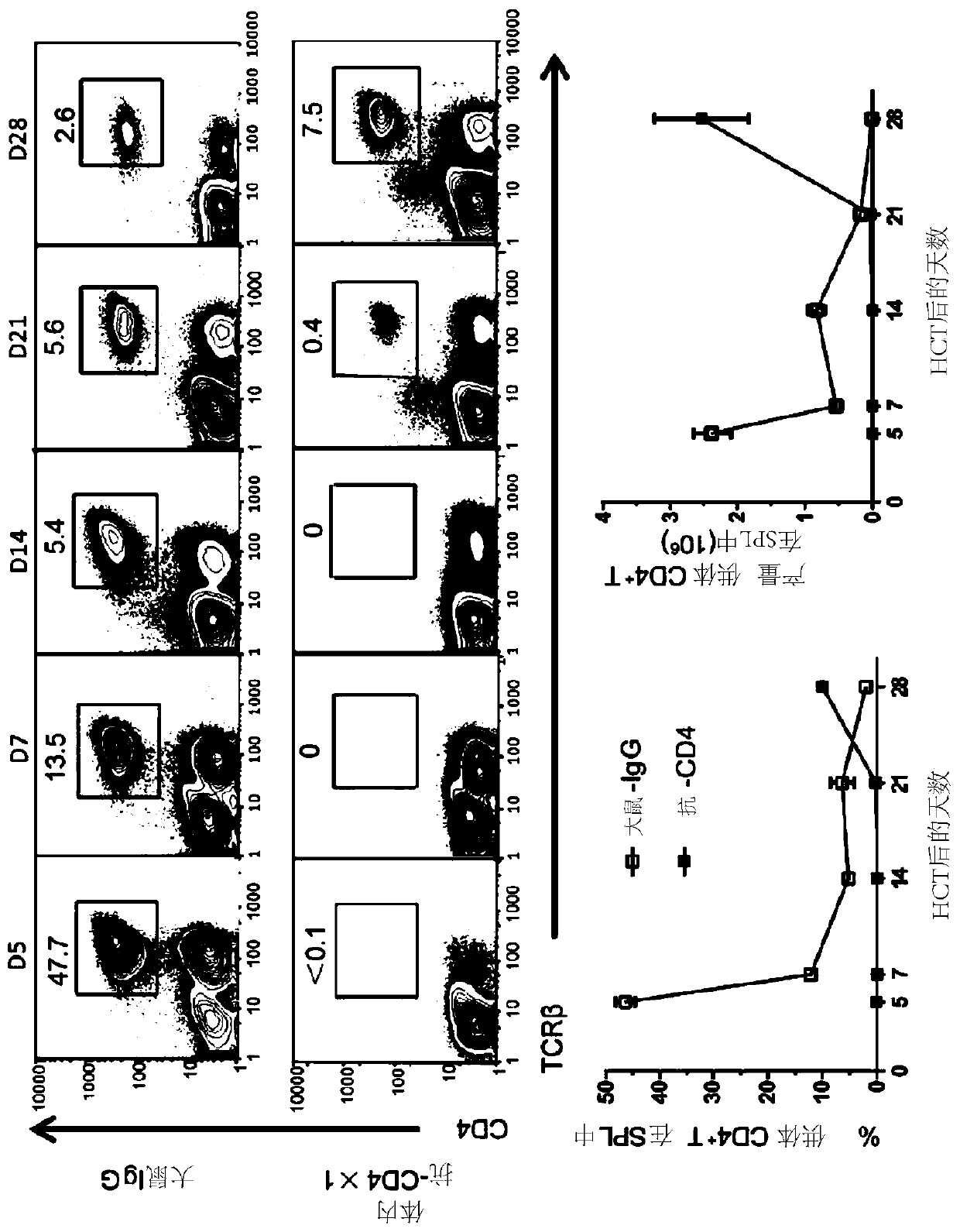 Methods for in vivo expansion of cd8+ t cells and prevention or treatment of gvhd